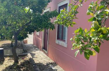 Casa da Mata - Foto 64