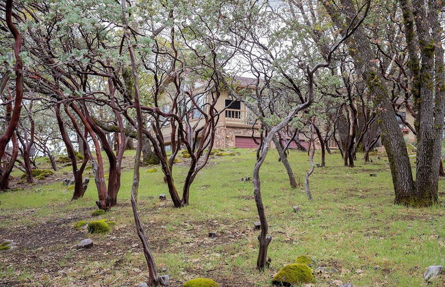 Sonora Splendor Stately 3 BDR on Secluded Lot! - Foto 34