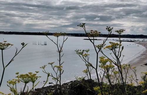 Saint-Cast-Le-Guildo - Foto 13