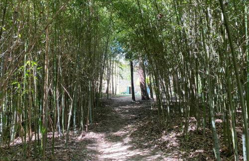 Le moulin de mon coeur2 - Foto 16