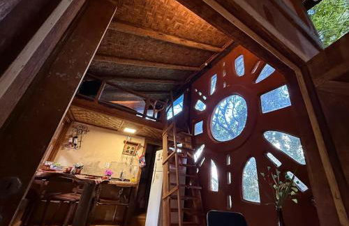 Casa da Árvore - Foto 20