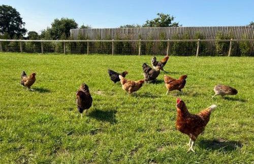 Four Bedroom House With Private Pool - Stunning countryside location with parking close to Chester City Centre - Photo 23