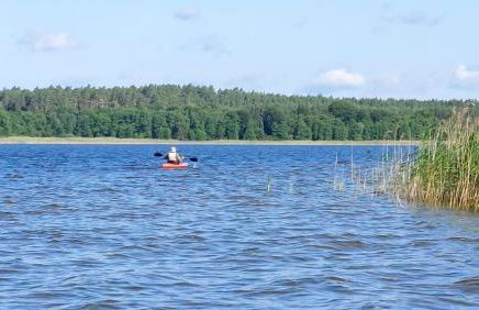 Holiday Home Vogelsang - Photo 41