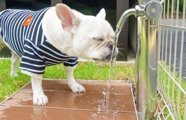 Rakuten STAY VILLA Aso Kurokawa - Foto 38