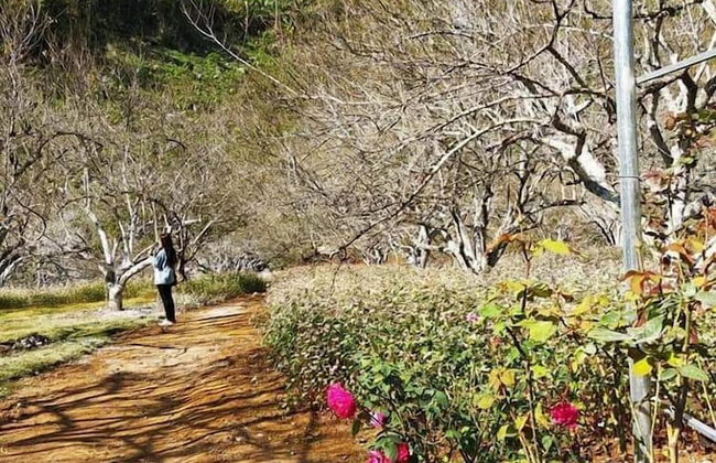 Homestay Lang Che 69 - Foto 18