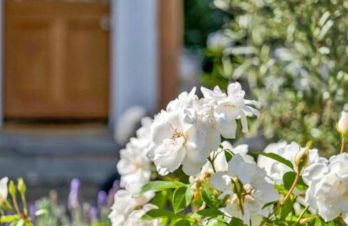 Modern Cottage, Hot Tub, Bistro Patio, Putting Green, Walk to All! - Foto 28