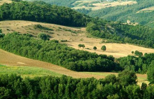 Agriturismo Fattoria Aquilone - Foto 70