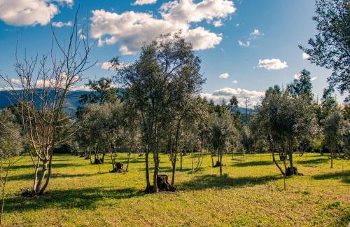 Quinta-lina de serpins - Foto 59