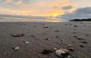 Apartmenthaus-Usedom FamStopp "Kajüte 9" Balkon mit Blick auf den Garten - strandnah - Foto 13