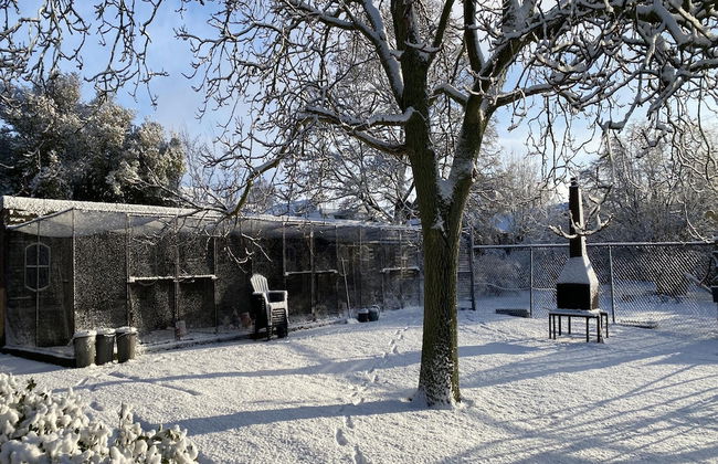 Cozy Holiday Home in Bergen op Zoom With Garden - Foto 77