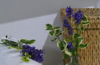 Ferienwohnung am Holdereggenpark - Foto 20