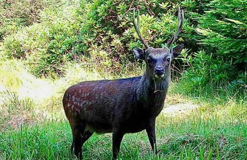 Elm Tree Cottage - Photo 9