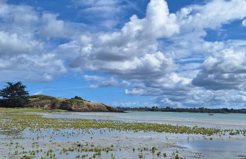 Maison proche des plages de la Côte d'Emeraude - Saint-Malo, Dinard, Dinan - Foto 20