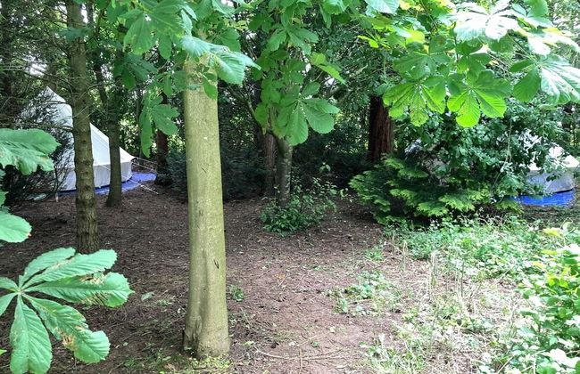 Woodlands Basic Bell Tent 2 - Foto 23