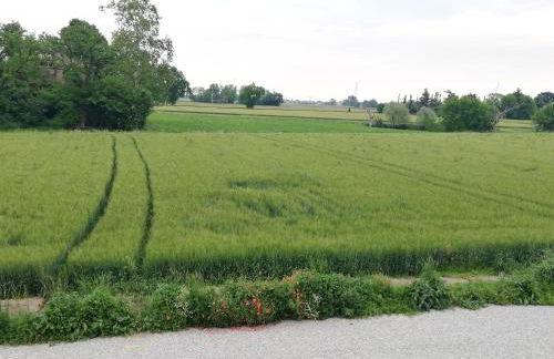 Agriturismo N'Uova Campagna - Foto 74