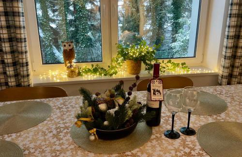 Domek Koziołek przy szlaku, Szyndzielnia, Klimczok, Szczyrk, Bania - Foto 12