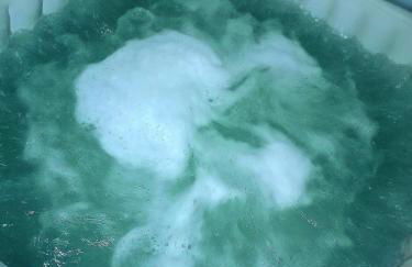 carré de détente JACUZZI JARDIN PISCINE T3 PARKING - Foto 34