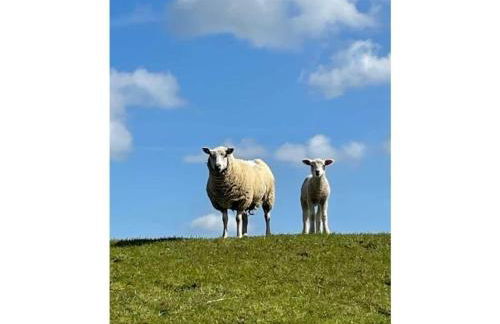 Holiday home with 3 bedrooms - Foto 34