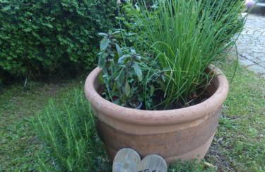 FERIENWOHNUNG LAURA LÄUFERs CHIEMSEE HOLIDAY HOME Gstadt - Foto 11