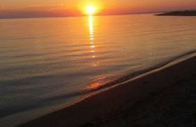 Sea and Garden House - Photo 17