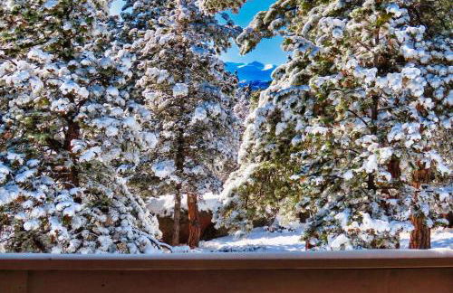 Pine Ridge - Memories are made here! - Foto 29