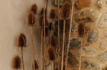 Spinks Nest - a boutique cottage near Holt, North Norfolk - Foto 65