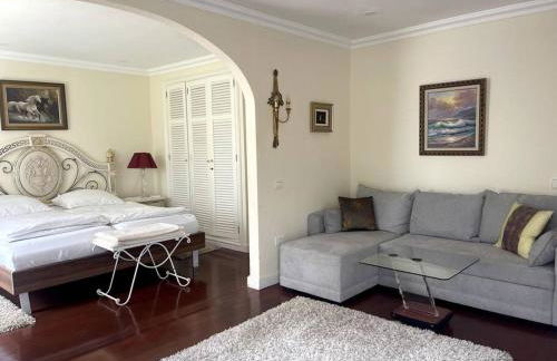 Luxury apartment in villa - Foto 8