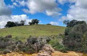 Sierra de Huelva-Chalet completo - Foto 8