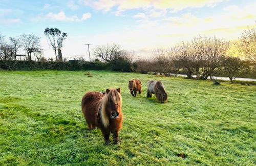 Bay View Cottage - Foto 17