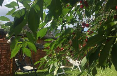 Apartament Pod Wiśnią - Foto 2