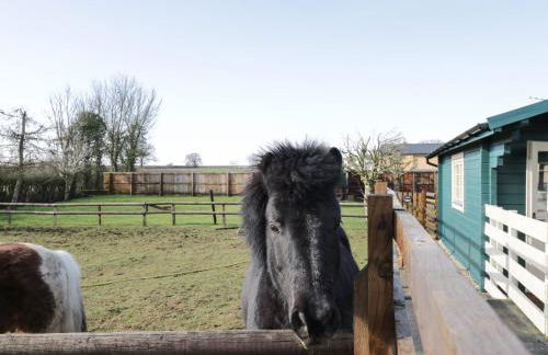 The Log Cabin - Foto 19