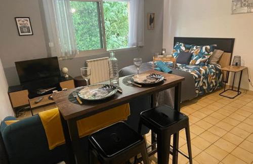 L'Aiglon Studio cocon au coeur de Gap - Foto 7