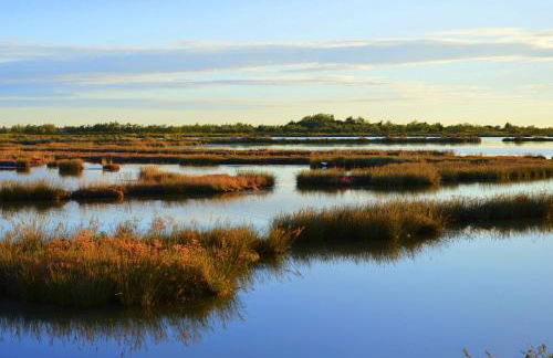 Stella di Mare - Cà Savio - Foto 64