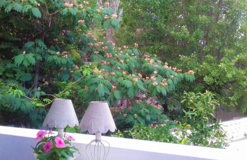 Beachfront Skaloma Villa - Foto 34