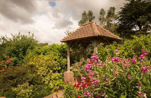 THE STUDIO ROUGHTON - Foto 17