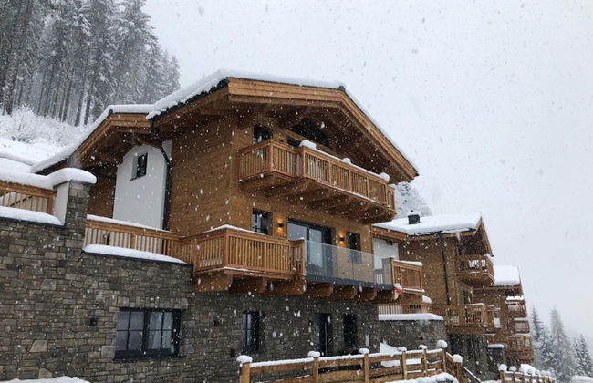 Modern Chalet in Muhlbach am Hochkonig Near Ski Area - Foto 58