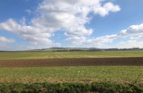 Au cœur du Sénéchal - Foto 41