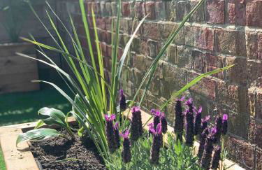 Fort View- Totland - Photo 48