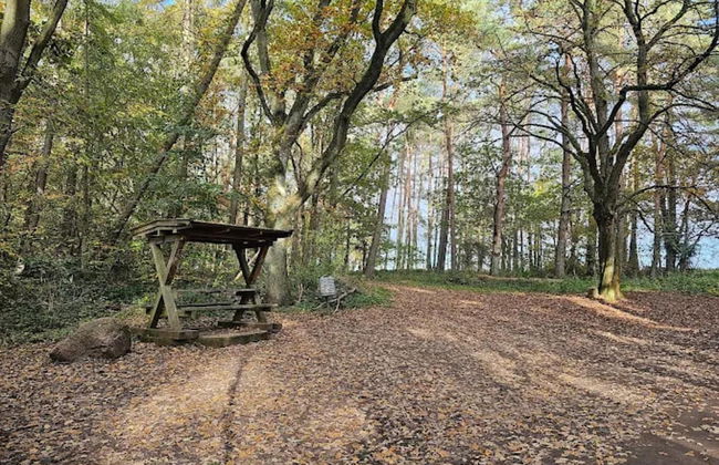 Appartement in Reizvoller Nachbarschaft - Foto 33