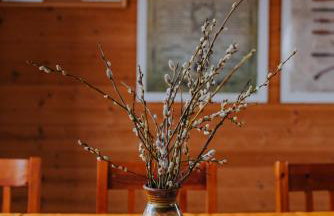 Dom Gościnny Sowia Stópka - Foto 12