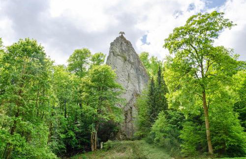 Holzhaus Harzville - Foto 19