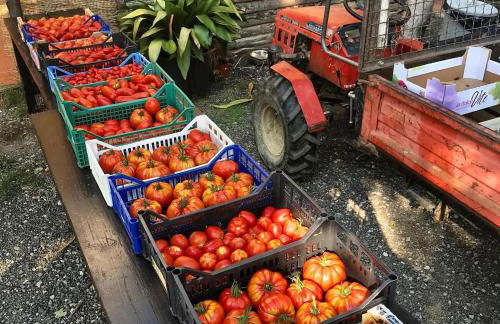 Agriturismo Ca du Chittu - Foto 41