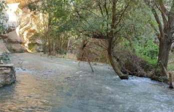 Casa Pepita - Foto 32