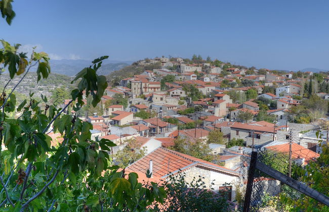 Komi Lofou Traditional House - Foto 15