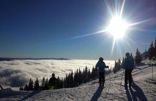 FW Rettenberger - Foto 18