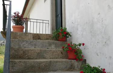 Quinta do Arieiro - Foto 32