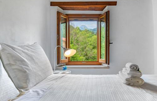 Vicinato Homestead - Foto 10