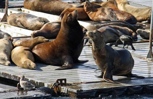 Mile to Beach! Tiki Master Suite - Foto 29