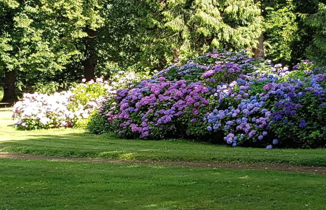 6 Person Holiday Home in Rude - Foto 24