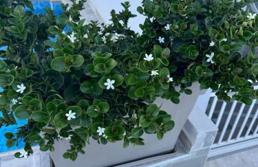 CARISSA SUITES a - Foto 17